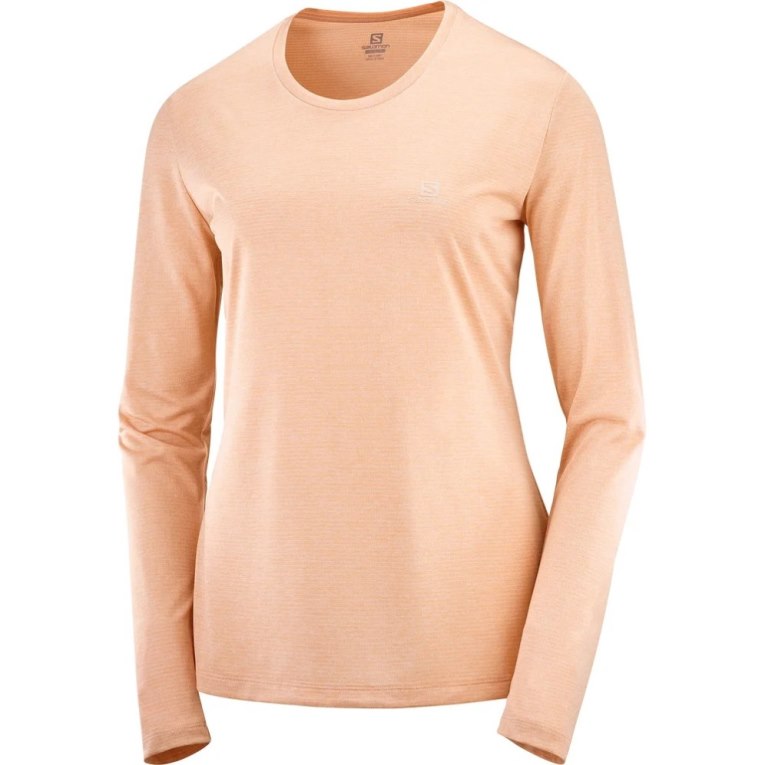 Salomon Agile Long Sleeve Women's T-Shirts Apricot | CA 4V23